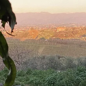 Locazione Turistica Dream House Marzia Holiday home